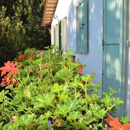 Bed & Breakfast Il Leccio Nel Bosco Amelia