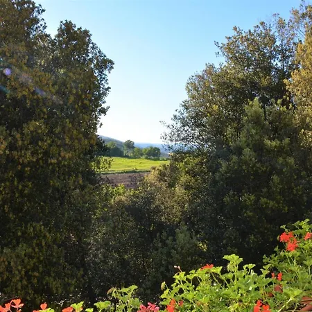 Il Leccio Nel Bosco Bed & Breakfast Amelia