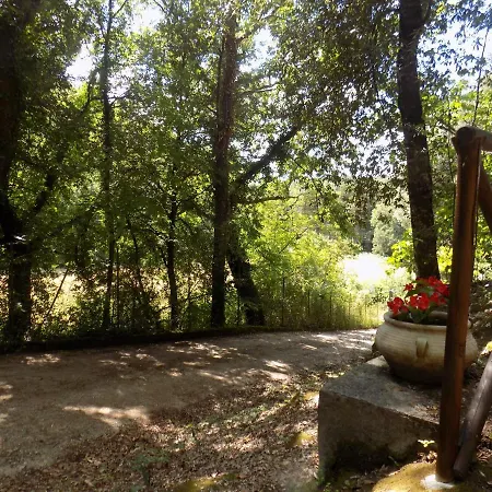 ベッド・アンド・ブレックファスト Il Leccio Nel Bosco