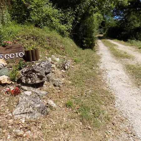 Il Leccio Nel Bosco Amelia