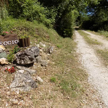 Il Leccio Nel Bosco Amelia