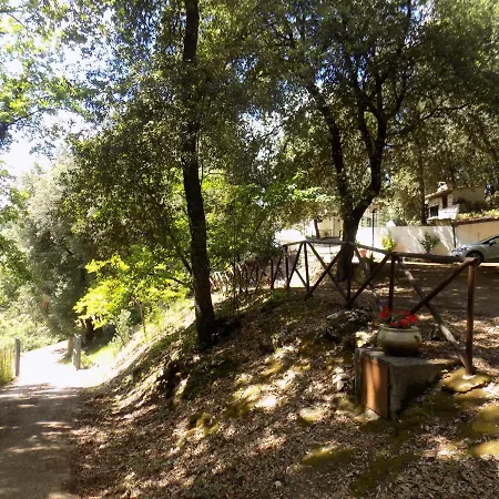 Il Leccio Nel Bosco Bed & Breakfast