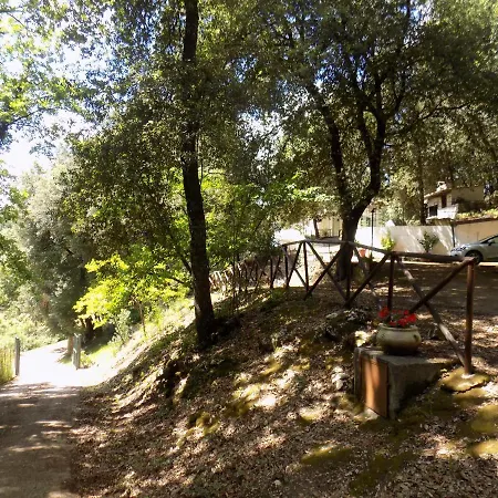 Il Leccio Nel Bosco Bed & Breakfast