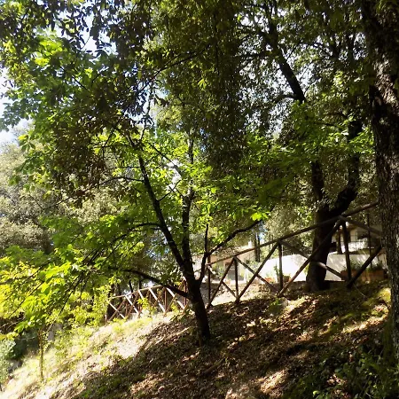 Il Leccio Nel Bosco Bed & Breakfast