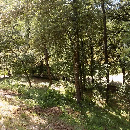 Bed & Breakfast Il Leccio Nel Bosco Amelia