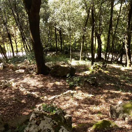 Bed & Breakfast Il Leccio Nel Bosco *