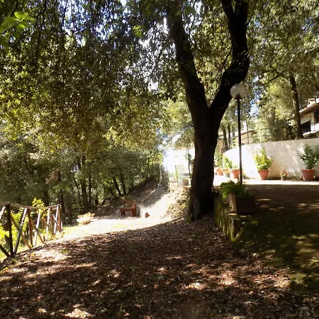 Il Leccio Nel Bosco * Amelia