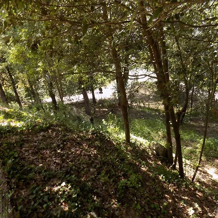 Il Leccio Nel Bosco ベッド・アンド・ブレックファスト