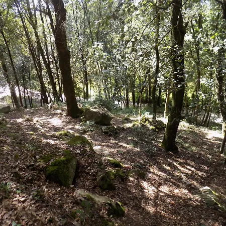 Il Leccio Nel Bosco Bed & Breakfast Amelia