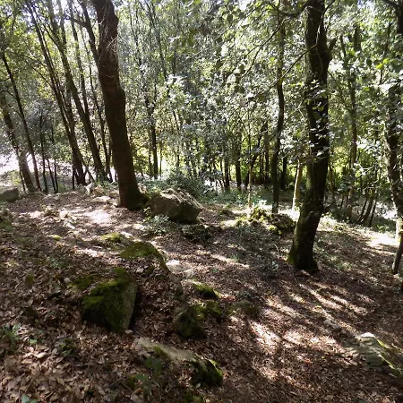 Il Leccio Nel Bosco Bed & Breakfast Amelia