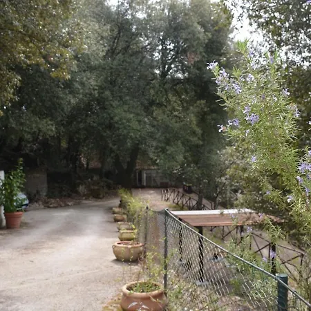 Bed & Breakfast Il Leccio Nel Bosco Amelia