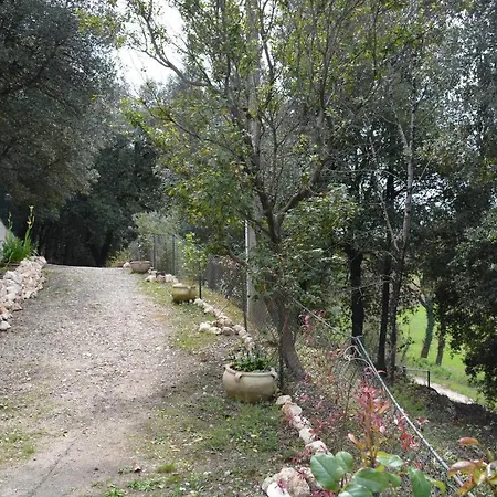 Il Leccio Nel Bosco Bed & Breakfast Amelia
