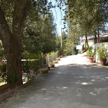 Bed & Breakfast Il Leccio Nel Bosco