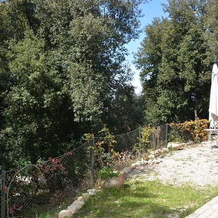 Il Leccio Nel Bosco Bed & Breakfast Amelia